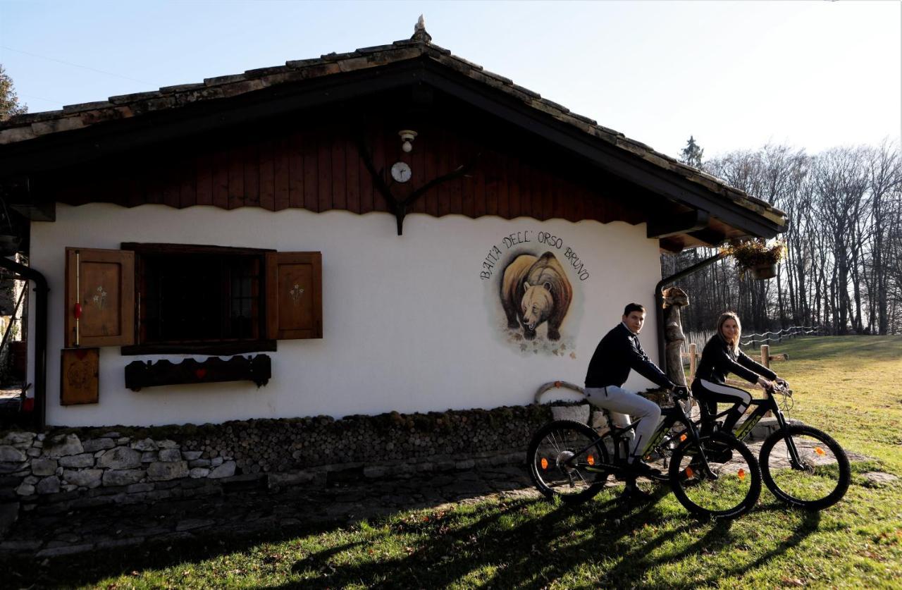 拜塔塔纳洛尔度假屋 Forgaria nel Friuli 外观 照片