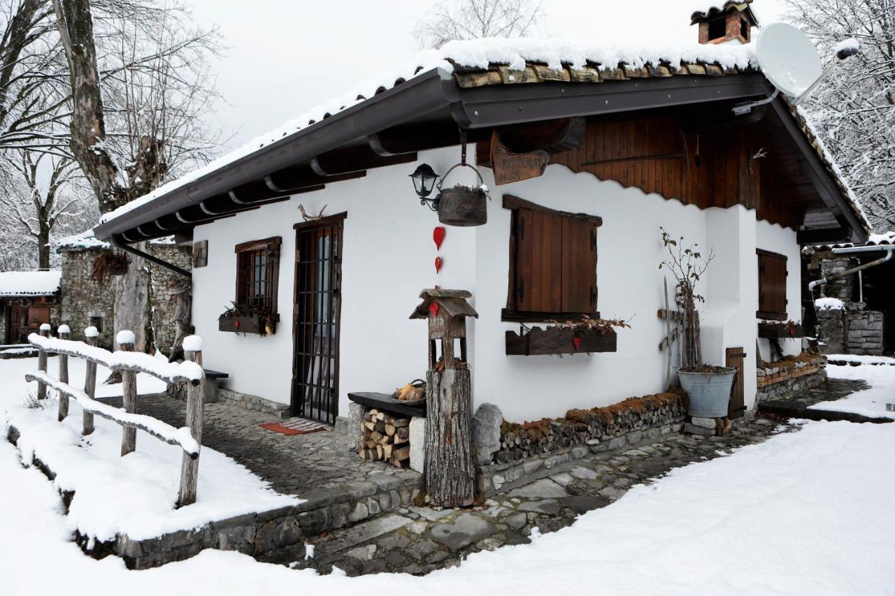 拜塔塔纳洛尔度假屋 Forgaria nel Friuli 外观 照片