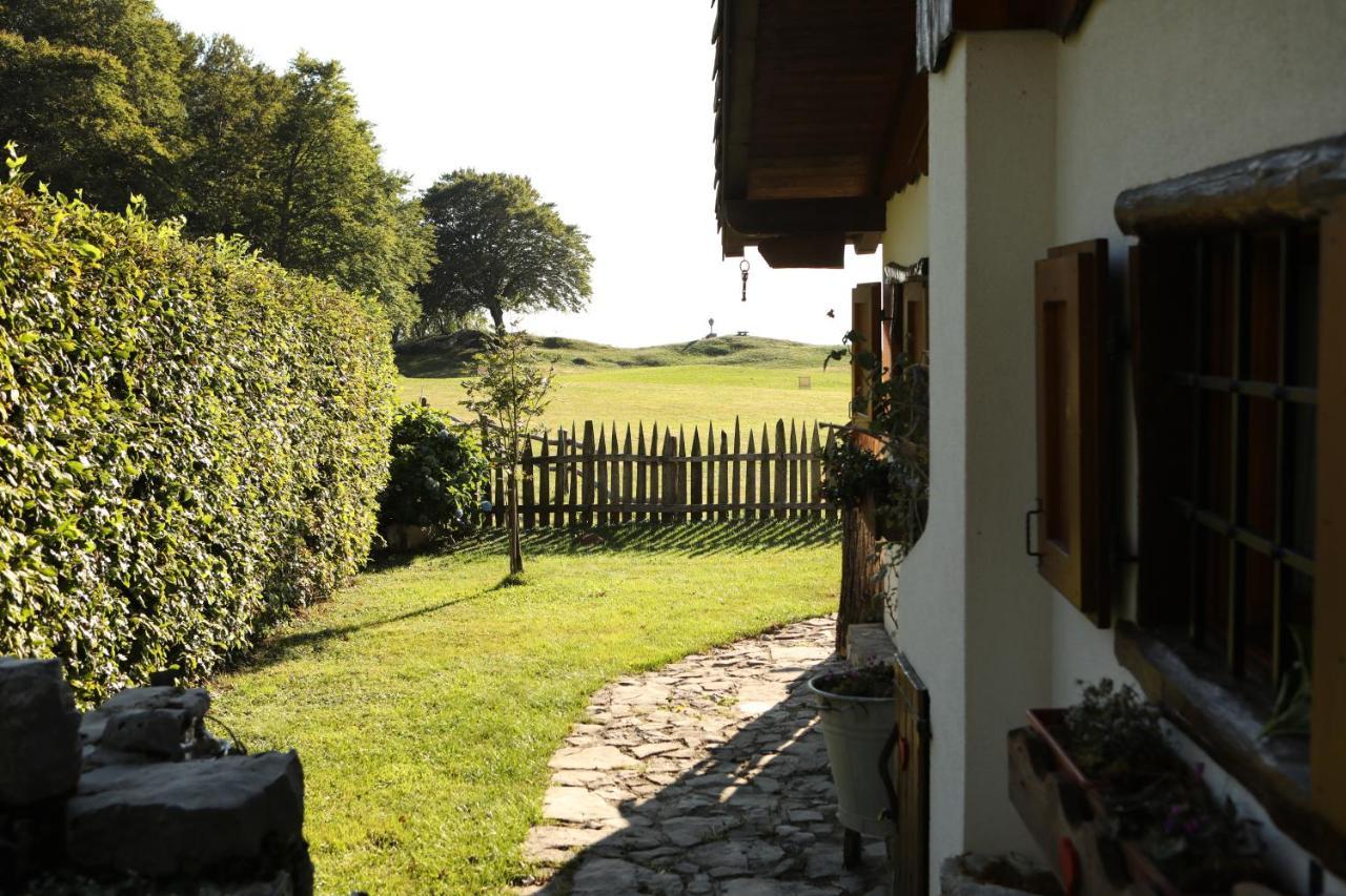 拜塔塔纳洛尔度假屋 Forgaria nel Friuli 外观 照片