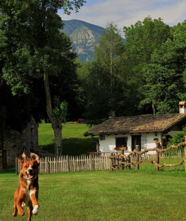 拜塔塔纳洛尔度假屋 Forgaria nel Friuli 外观 照片