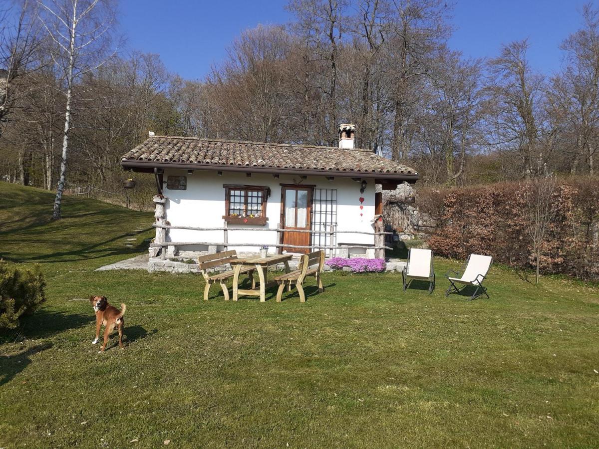拜塔塔纳洛尔度假屋 Forgaria nel Friuli 外观 照片