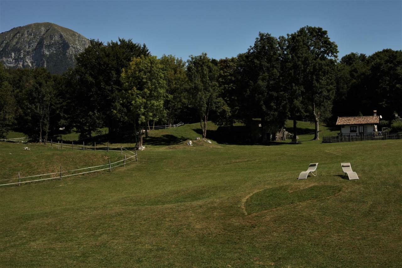 拜塔塔纳洛尔度假屋 Forgaria nel Friuli 外观 照片
